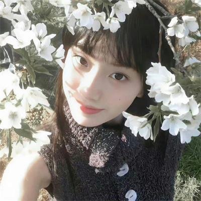 阿宝的故事